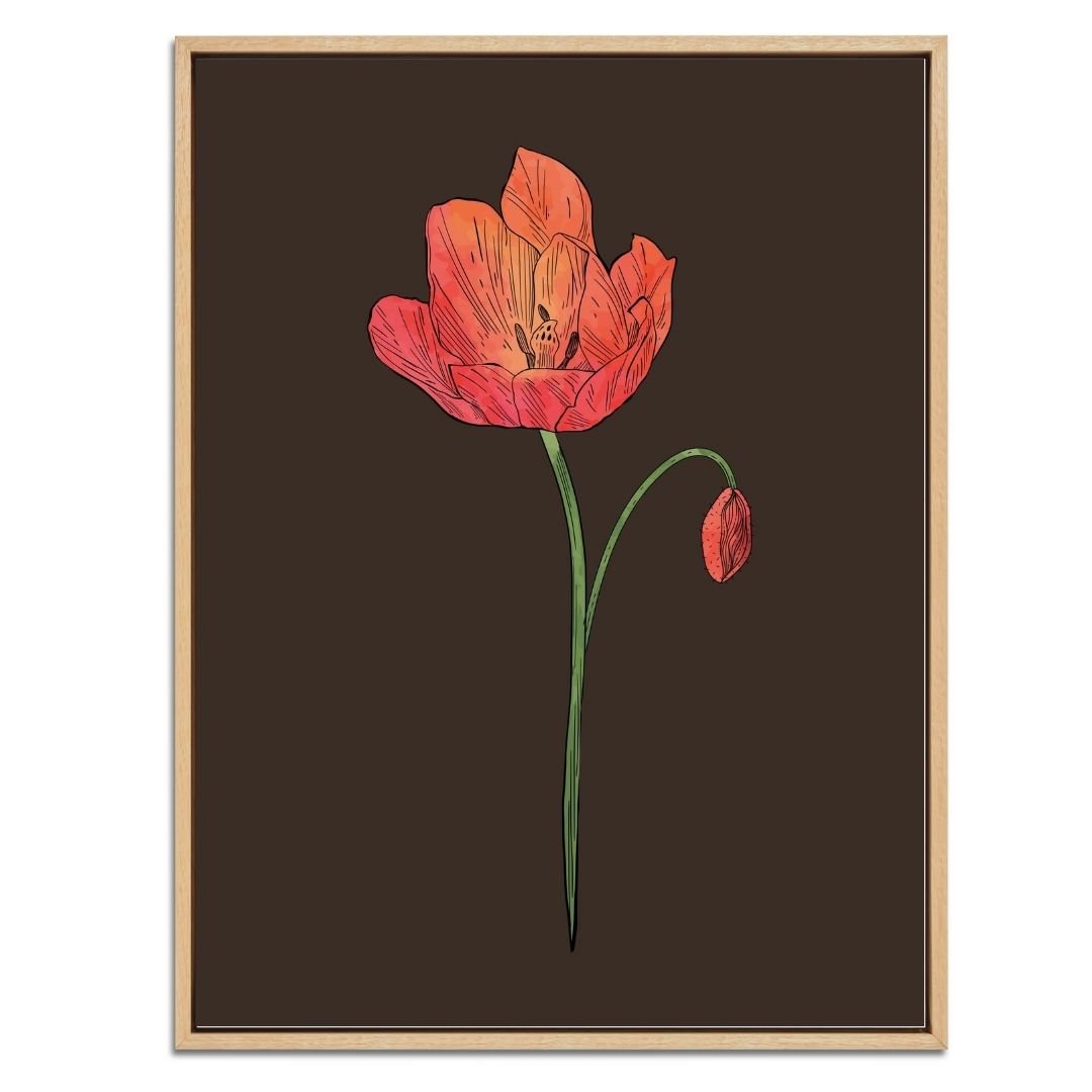 Poppy Botanical Fine Art Print by H Potter 3