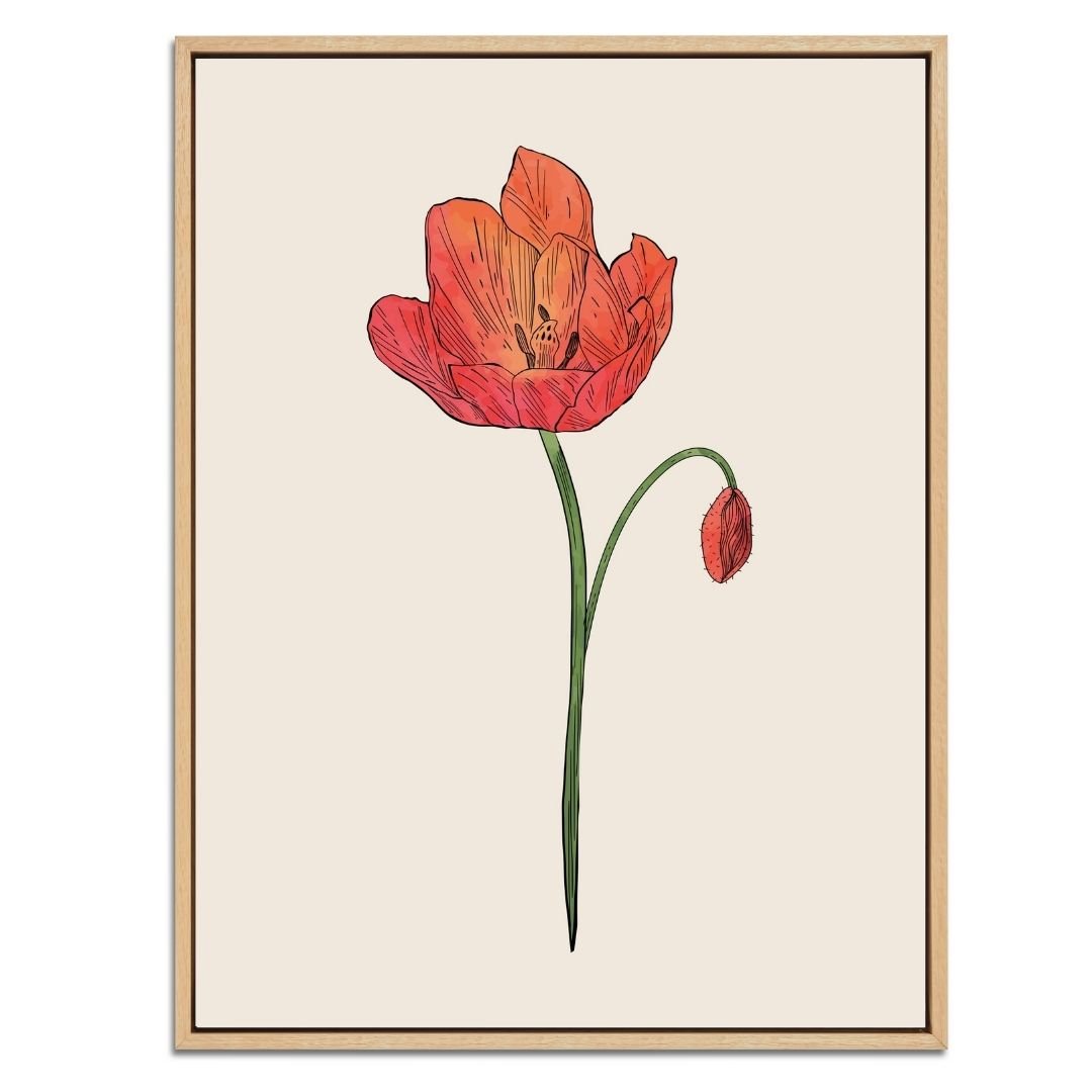 Poppy Botanical Fine Art Print by H Potter 3