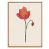 Poppy Botanical Fine Art Print by H Potter 3