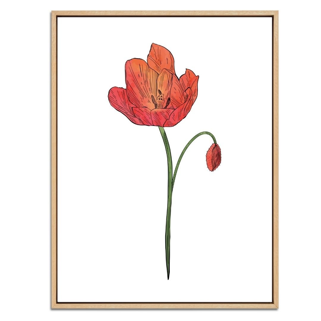 Poppy Botanical Fine Art Print by H Potter 3