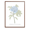 Peony Botanical Fine Art Print by H Potter Blue
