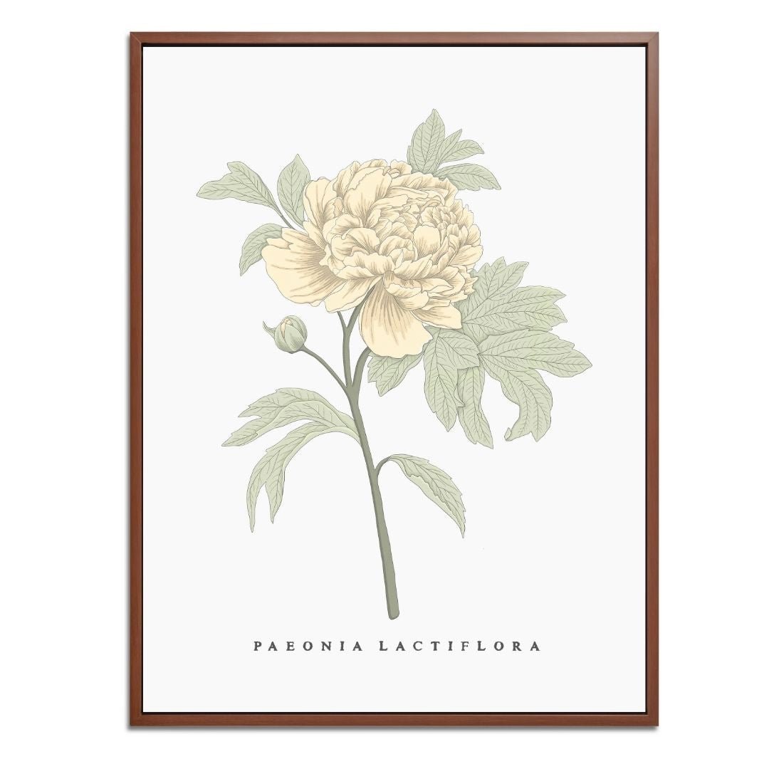 Peony Botanical Fine Art Print by H Potter Yellow
