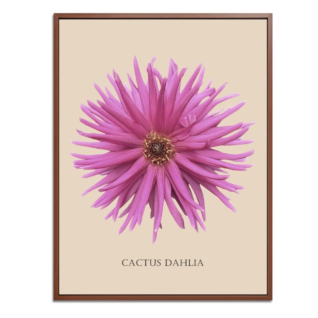 Pink Cactus Botanical Fine Art Print by H Potter