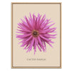 Pink Cactus Botanical Fine Art Print by H Potter