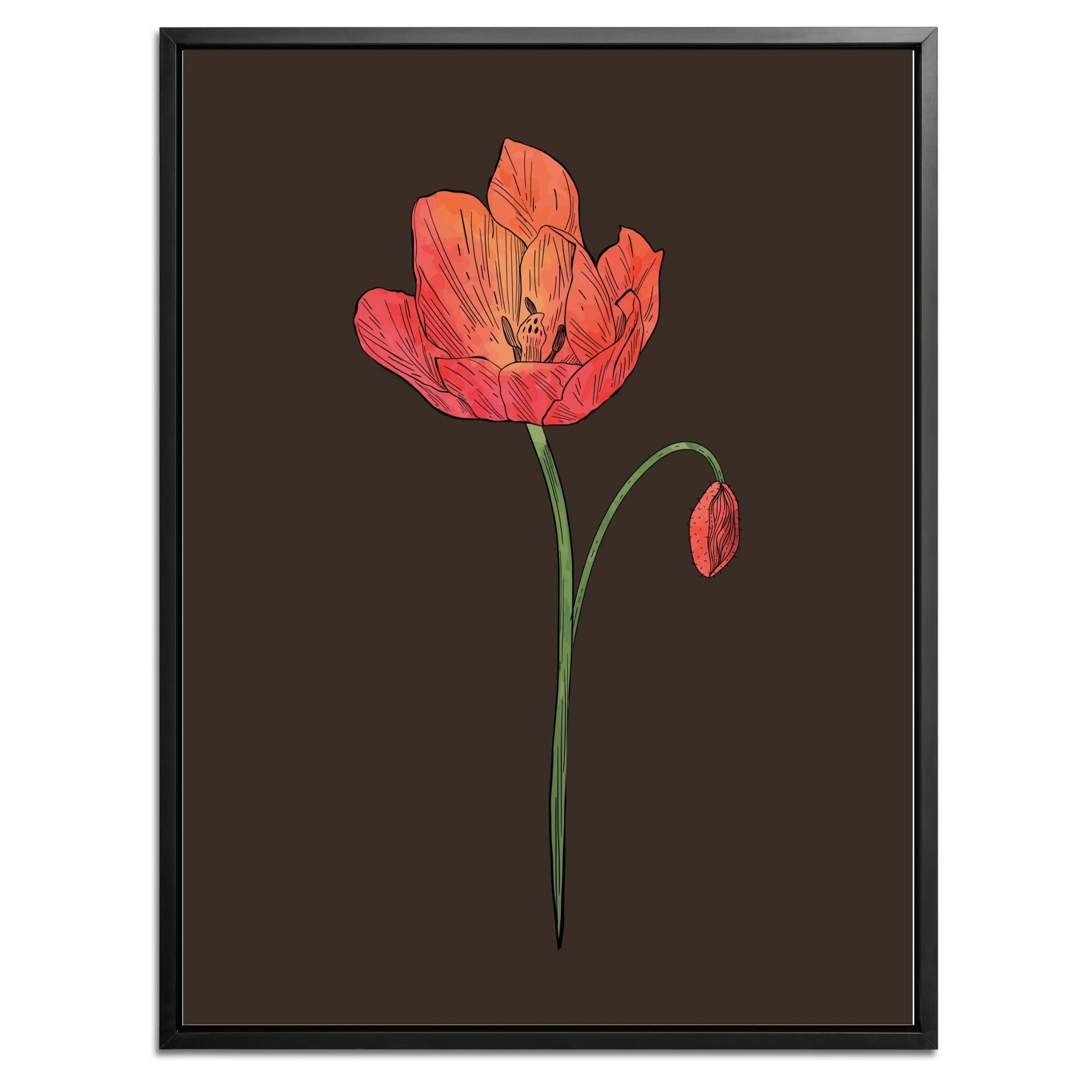 Poppy Botanical Fine Art Print by H Potter 3