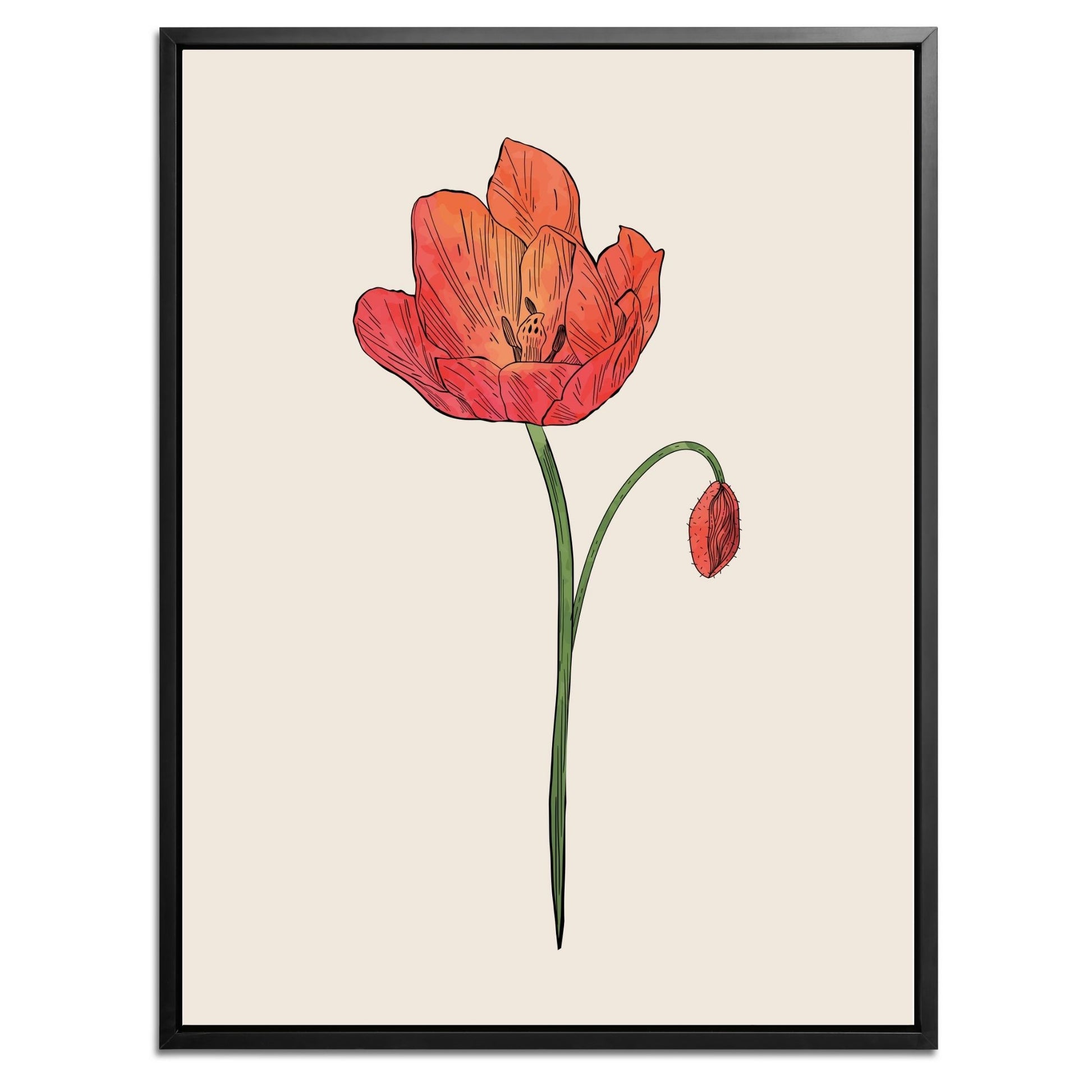 Poppy Botanical Fine Art Print by H Potter 3