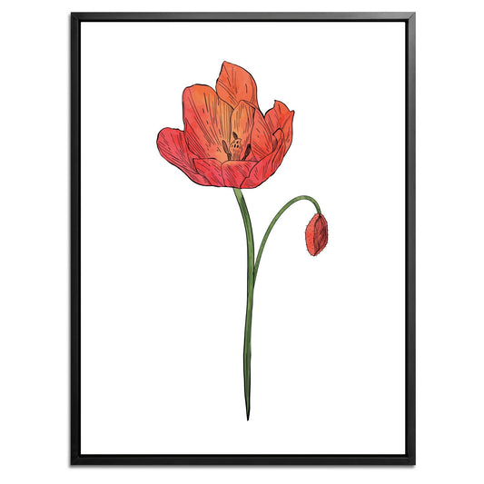 Poppy Botanical Fine Art Print by H Potter 3