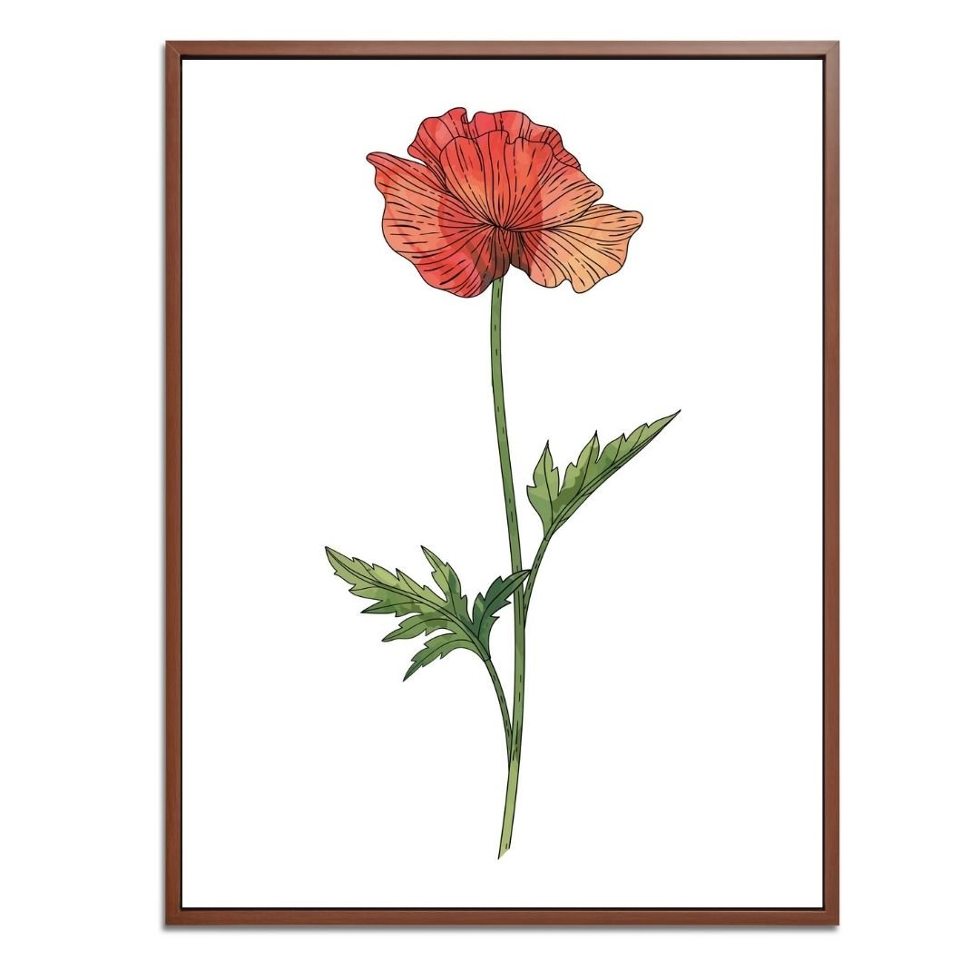 Poppy Botanical Fine Art Print by H Potter 1
