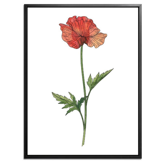 Poppy Botanical Fine Art Print by H Potter 1