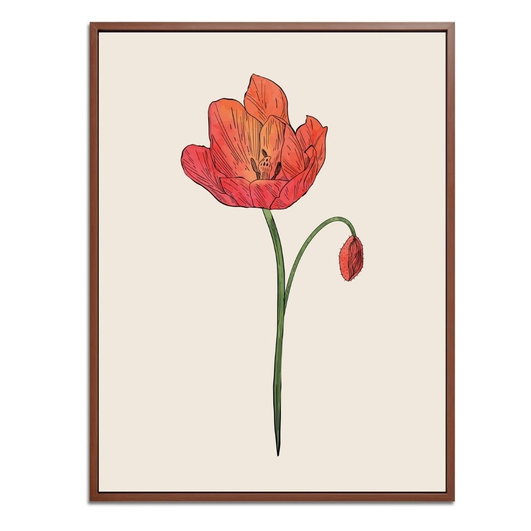 Poppy Botanical Fine Art Print by H Potter 3