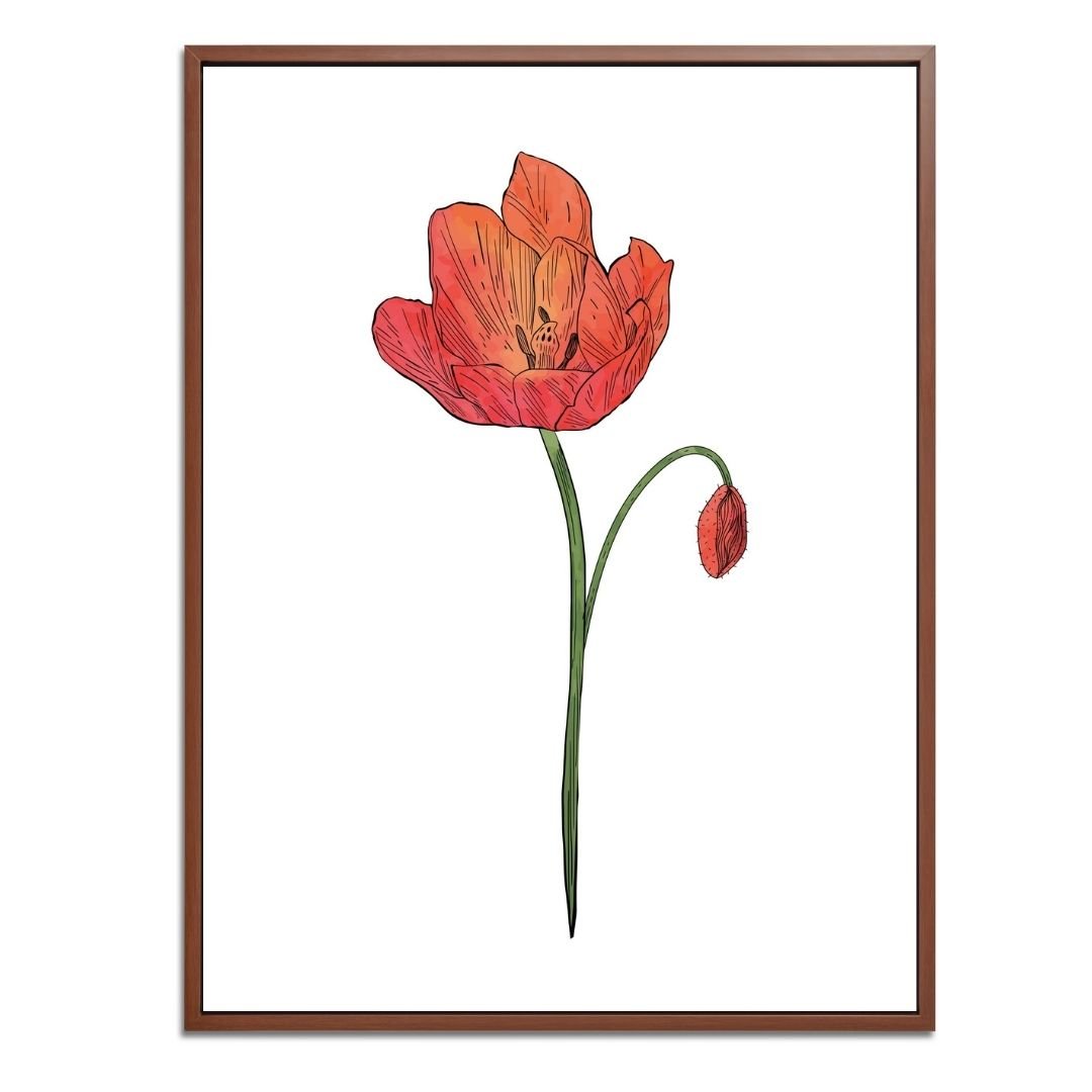 Poppy Botanical Fine Art Print by H Potter 3