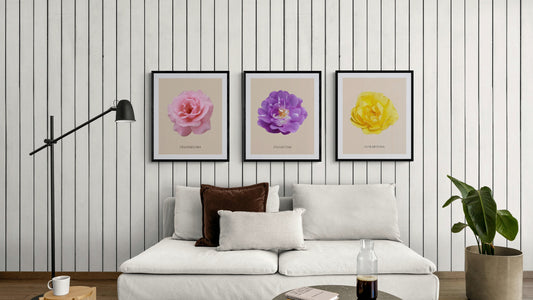 Roses Flowers Set Botanical Fine Art Print by H Potter