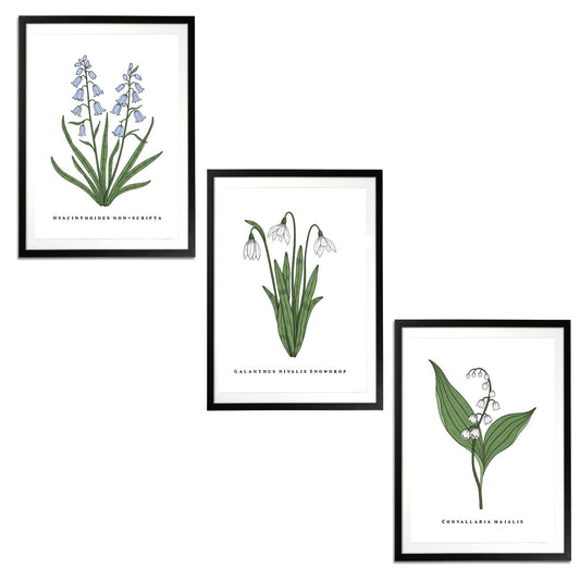 Spring Flowers Set Botanical Fine Art Print by H Potter