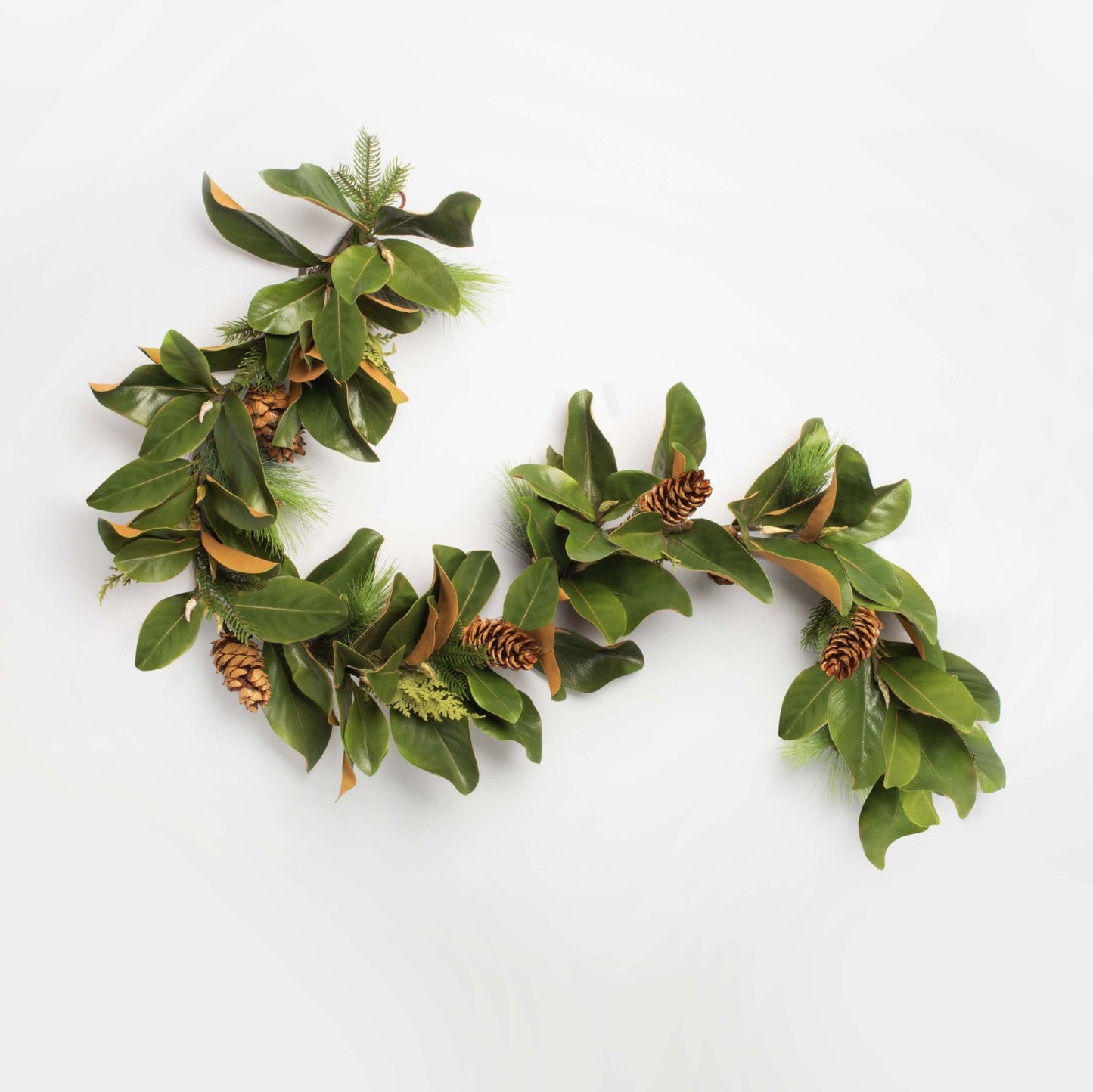 green magnolia and pine garland on a white background