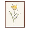 Yellow Flower Botanical Fine Art Print by H Potter