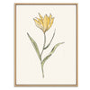 Yellow Flower Botanical Fine Art Print by H Potter