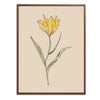 Yellow Flower Botanical Fine Art Print by H Potter