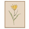 Yellow Flower Botanical Fine Art Print by H Potter