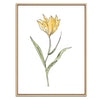 Yellow Flower Botanical Fine Art Print by H Potter