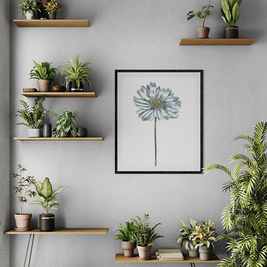 Daisy Botanical Fine Art Print by H Potter Blue