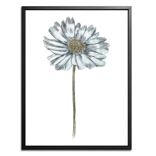 Daisy Botanical Fine Art Print by H Potter Blue
