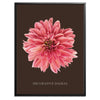 Decorative Dahlia Botanical Fine Art Print by H Potter