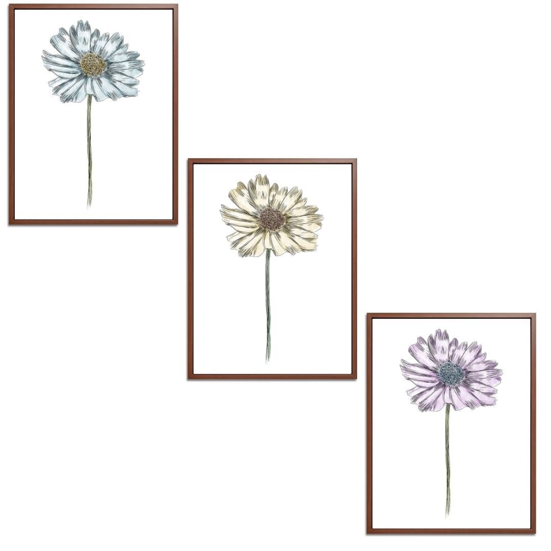 Daisy Set Botanical Fine Art Print by H Potter