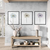 Daisy Set Botanical Fine Art Print by H Potter