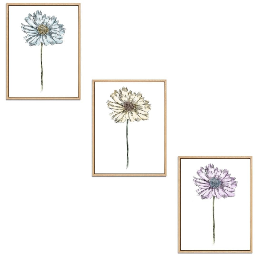 Daisy Set Botanical Fine Art Print by H Potter