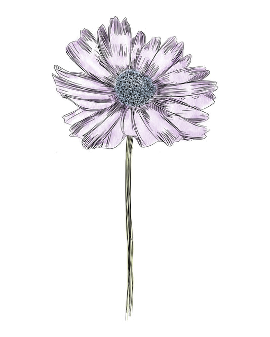 Daisy Botanical Fine Art Print by H Potter Purple