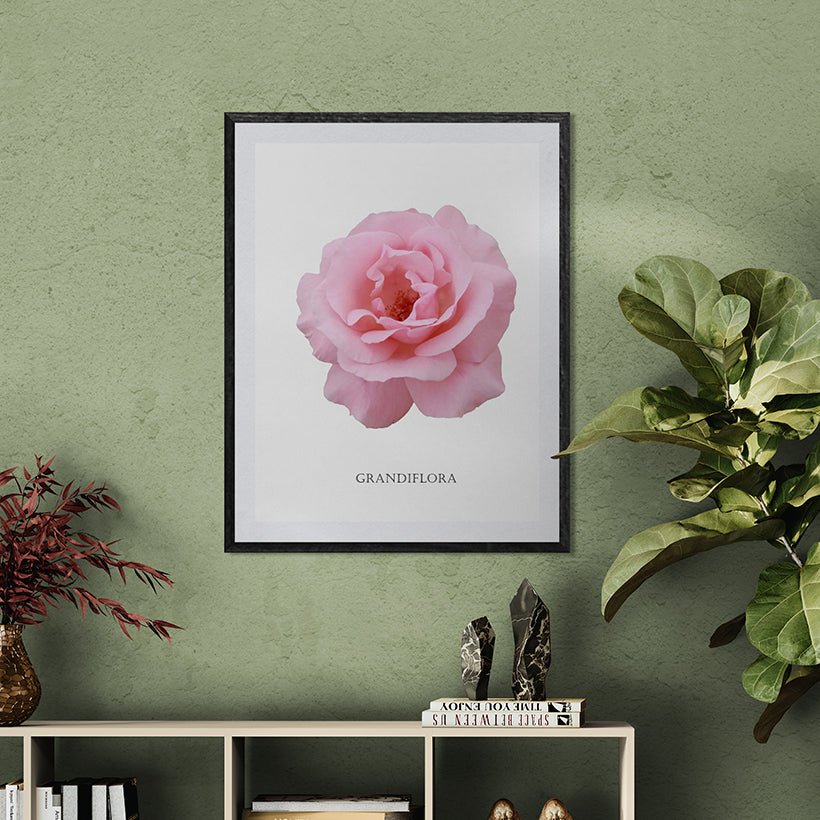 Roses Flowers Set Botanical Fine Art Print by H Potter