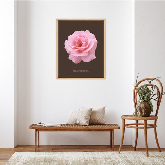 Pink Grandiflora Rose Botanical Fine Art Print by H Potter