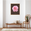 Pink Grandiflora Rose Botanical Fine Art Print by H Potter