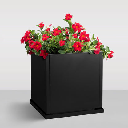 h potter planter with red flowers
