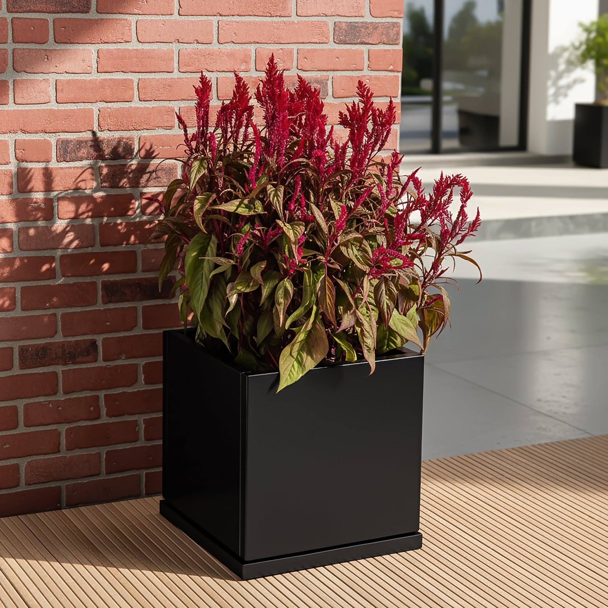 H Potter 17.5" Black Square Metal Planter with Drip Tray filled with red flower indoors