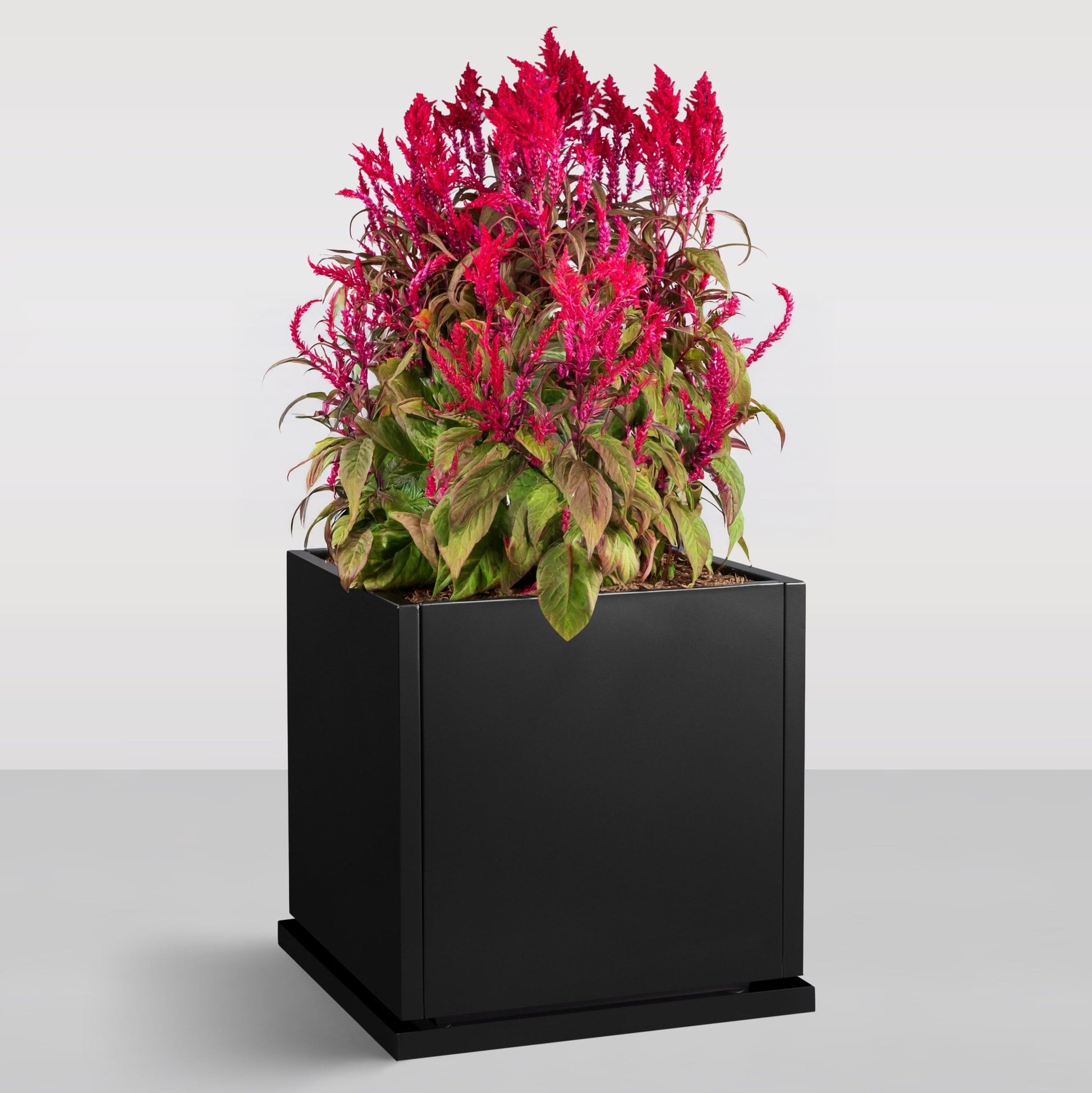 20 in planter pot H Potter 20" Black Square Metal Planter with Drip Tray