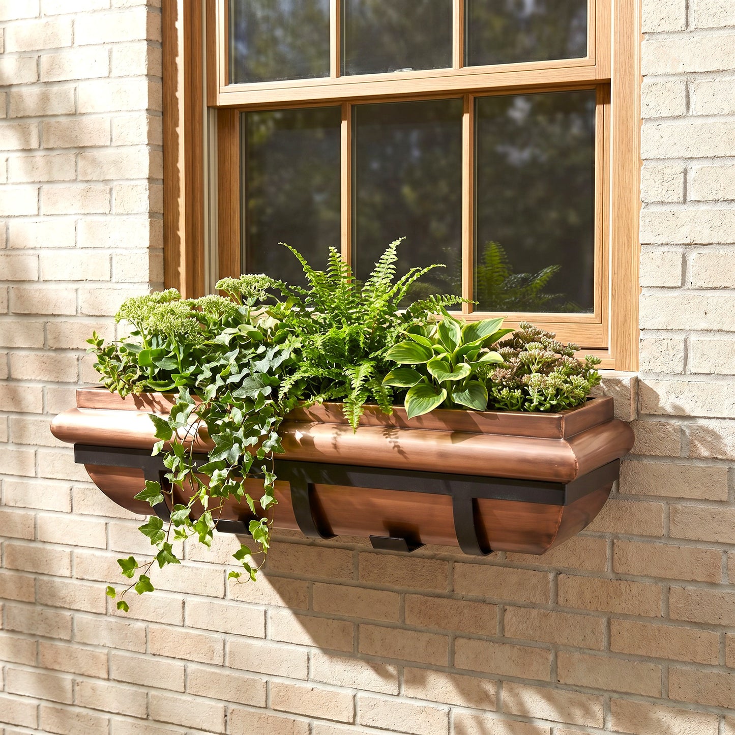 h potter window box with plants on a brick house