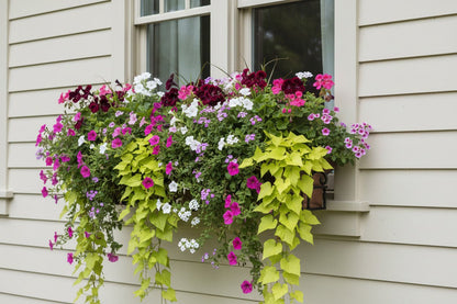 H Potter 30 inch antique copper window box mounted under window filled with colorful flowers