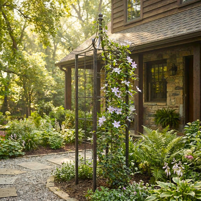 h potter obelisk trellis metal with clematis in front yard