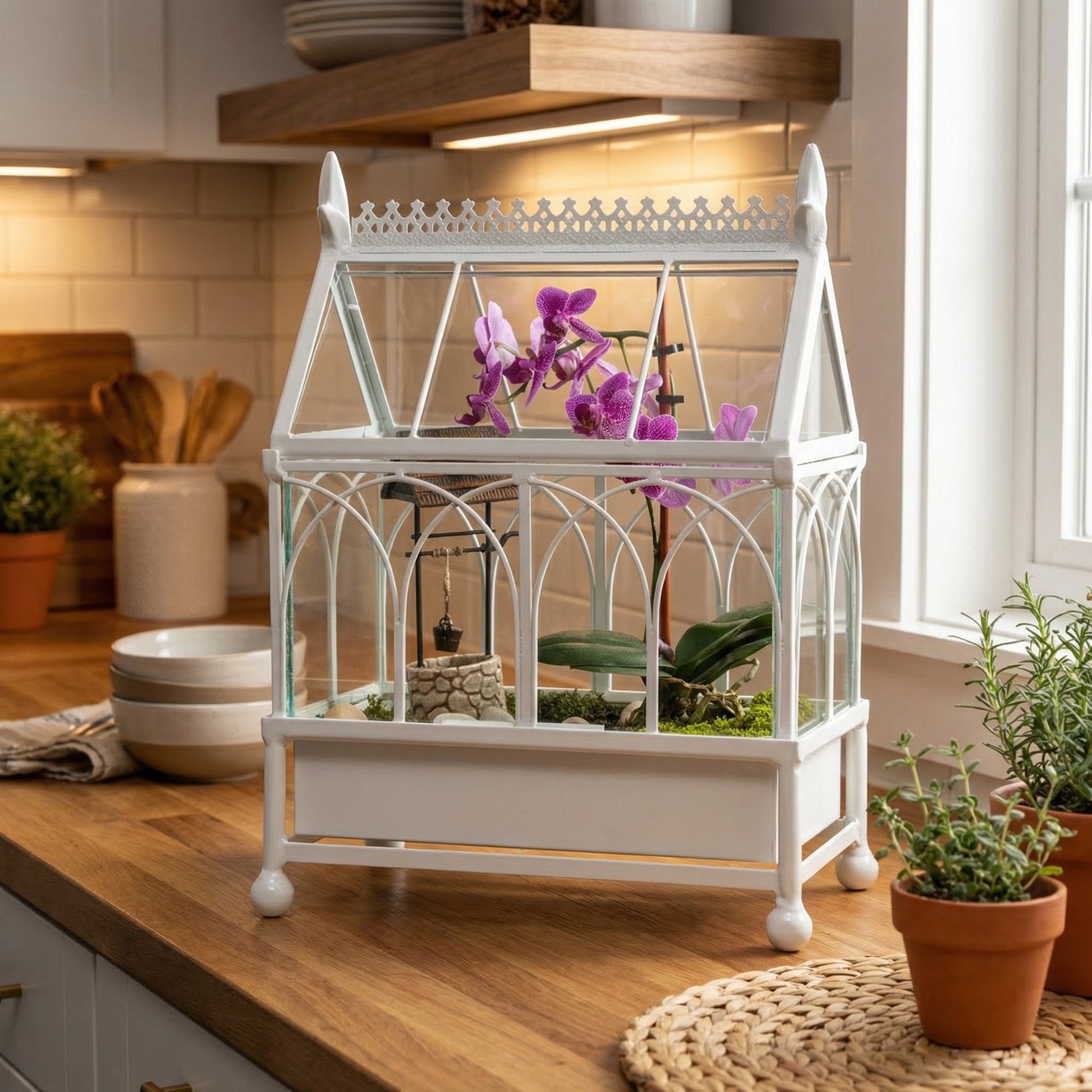 H Potter Conservatory Wardian Case Terrarium with orchids in kitchen