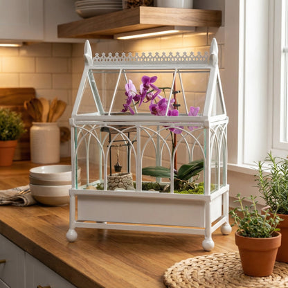 H Potter Conservatory Wardian Case Terrarium with orchids in kitchen