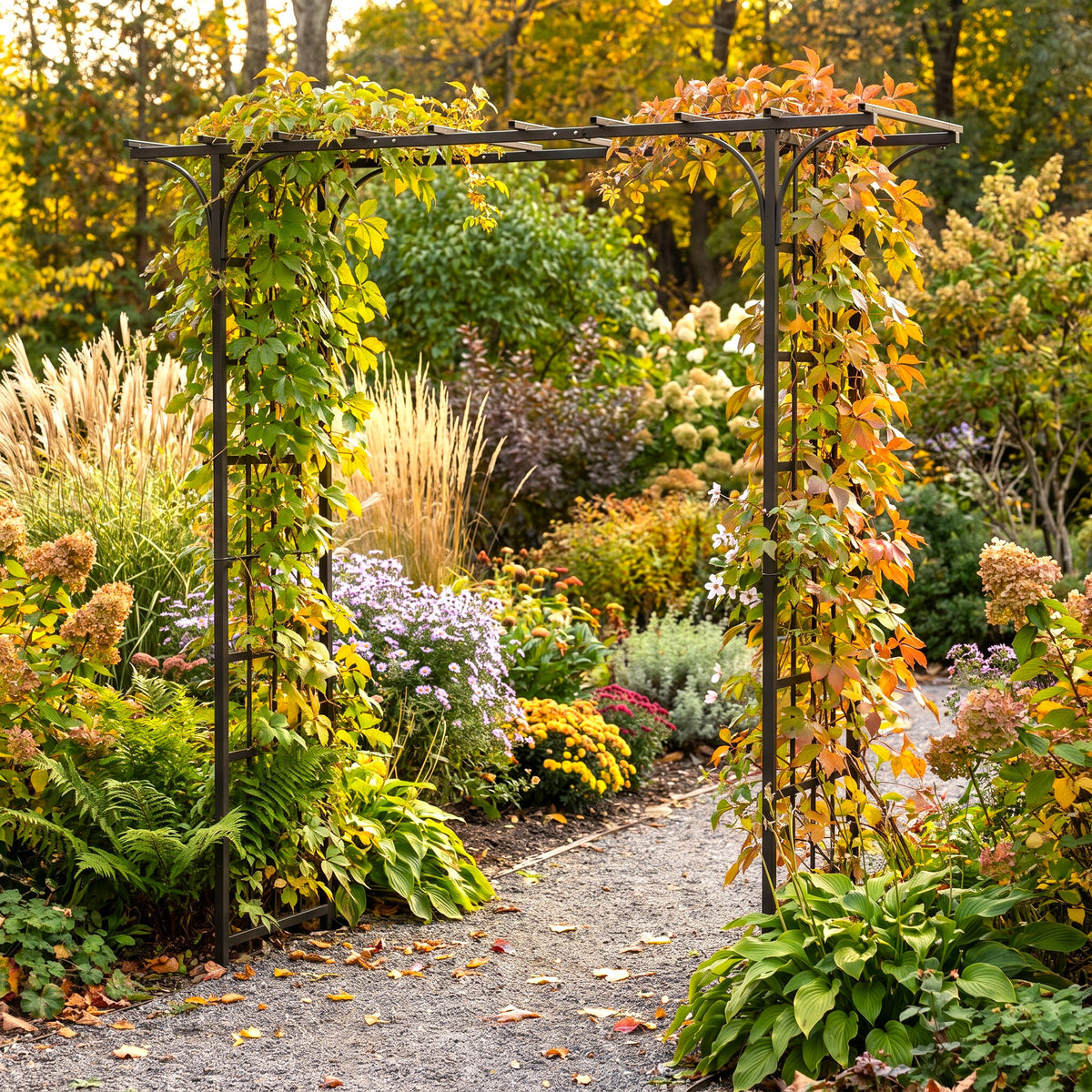 h potter brand black metal garden trellis with climbing autumn foliage, set in a lush garden pathway surrounded by colorful plants and trees.