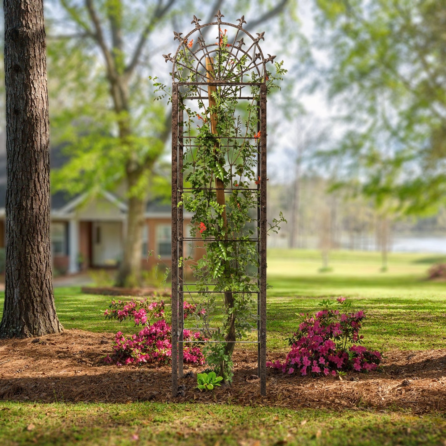 H Potter metal flowering vine obelisk trellis supporting clematis in garden bed