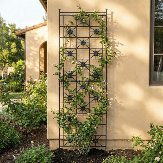 Black garden trellis for climbing plants 