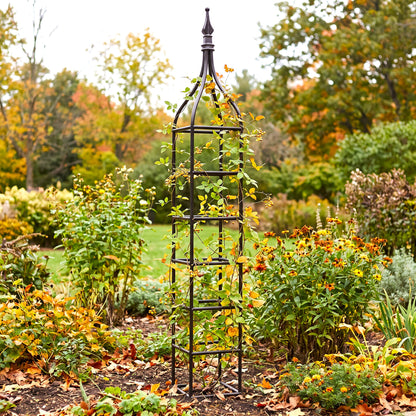 H Potter Beaumont black iron garden obelisk trellis supporting climbing vines in an autumn flower garden