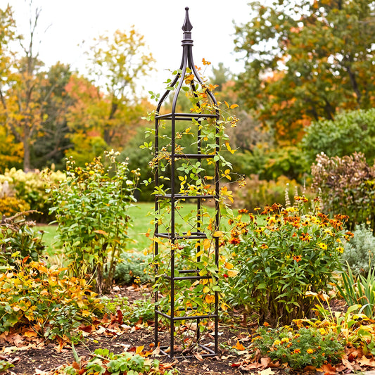 H Potter Beaumont black iron garden obelisk trellis supporting climbing vines in an autumn flower garden