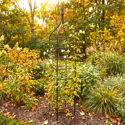 H Potter Clairmont black iron garden obelisk trellis supporting flowering climbing vines in an autumn garden