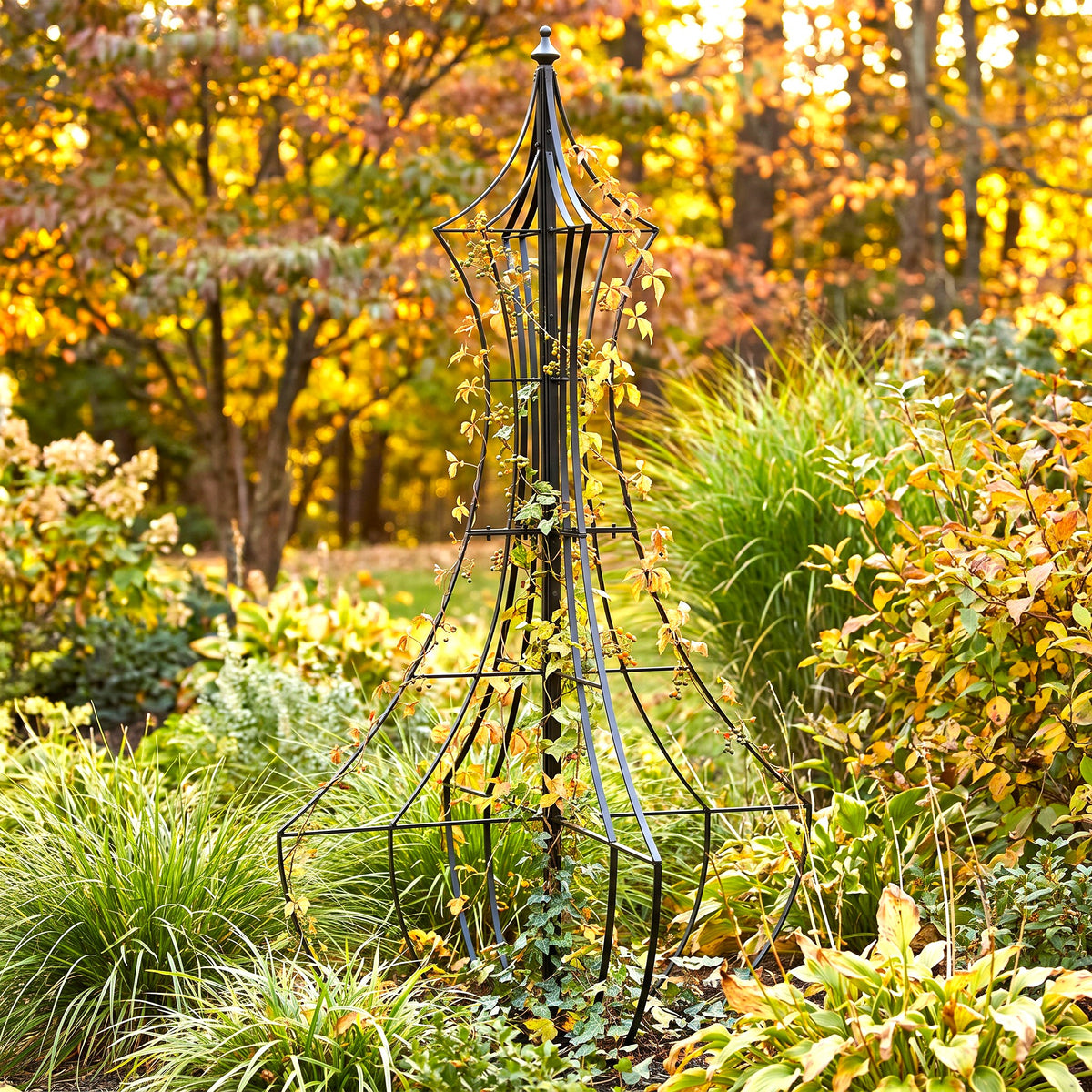 H Potter Genie black garden obelisk trellis with climbing vines in an autumn garden