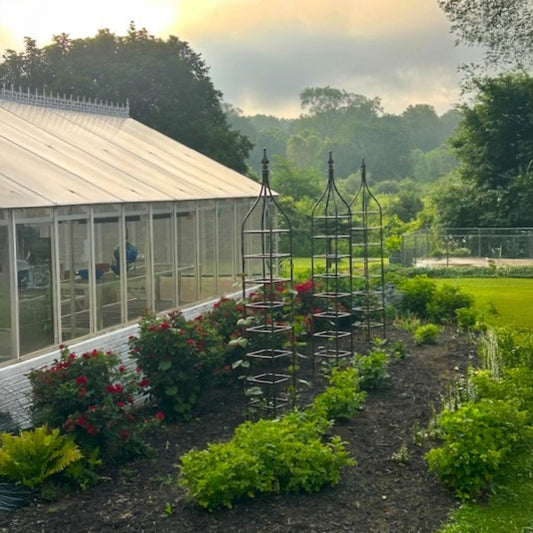 3 obelisk trellises at greenhouse with garden beds and plants in a lush outdoor setting