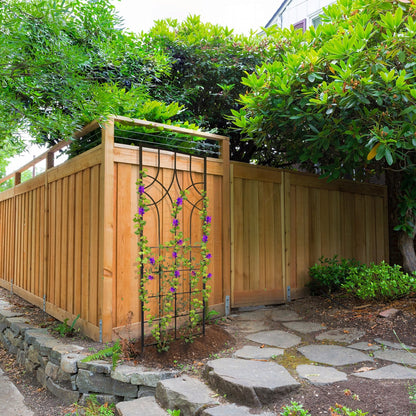 H Potter geometric iron trellis in garden against cedar fence, supports purple flowering vine